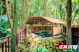 冬游张家界|泡温泉 登仙山 游地缝，元旦假期气温持续走低 张家界温泉养生休闲游受青睐图片