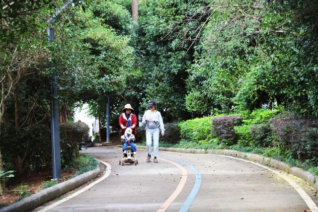 天气真好，一起出门透透气吧~