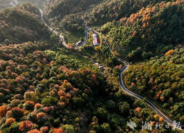 蕲春农村公路的秋藏着田园风光和丰收喜悦