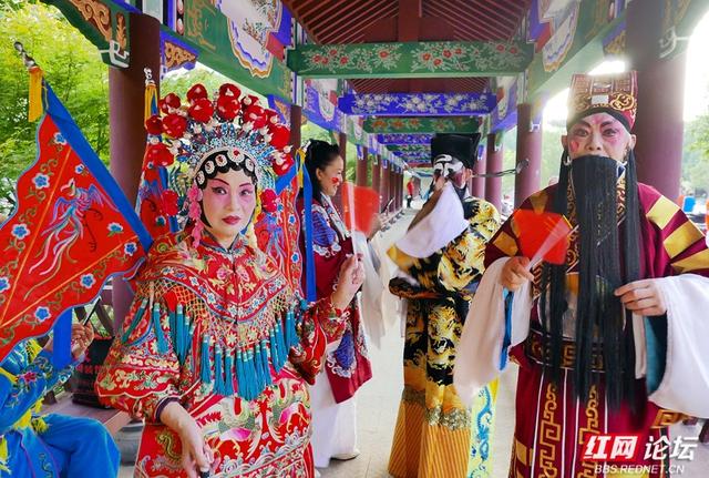 落叶、湖光与暖阳，解锁津市三湖公园的冬日浪漫