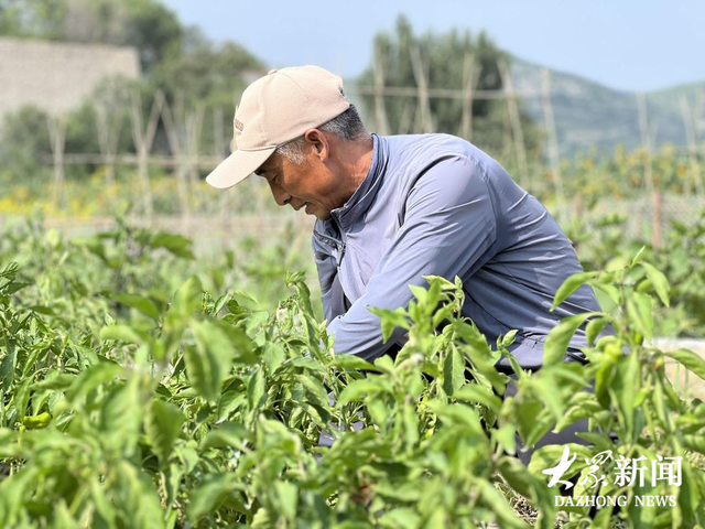 小村办起夏日生活艺术节，"篝火+烟花+音乐"点亮乡村夜经济