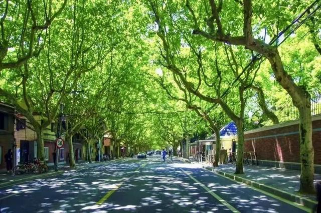 上海值得反复逛的一条马路！这个周末来一场说走就走的Citywalk吧（文末福利🤩）