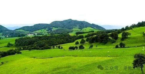 暑假带娃徒步+露营！昆明必去的6个高山草原，凉爽舒心，星空野餐两不误！