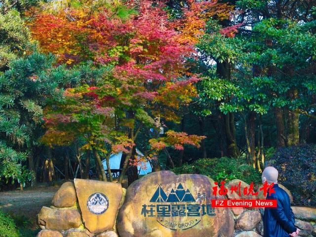 黄了！红了！福州大面积上新！颜值高峰！