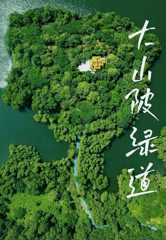 《许我耀眼》同款！坪山藏着你的“温暖的港湾”