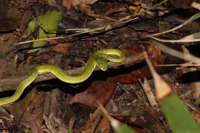 欢迎来到疯狂动物城·罗湖分城