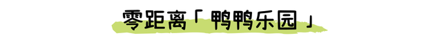 “深圳最能打的环湖小村,含绿量99%”
