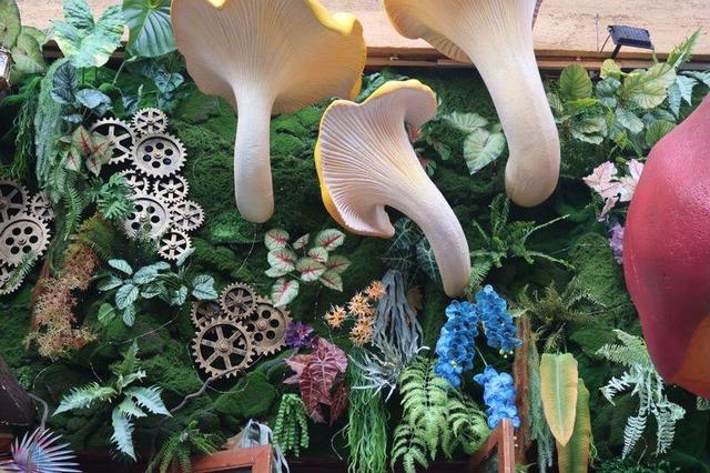 昆明娃暑期的快乐 就是与奥特曼超级飞侠一起冒险