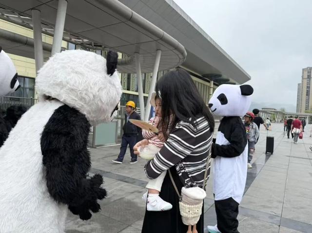 【青春志愿·爱在旅途】迎国庆看熊猫萌宝 品凉糕享双河团圆
