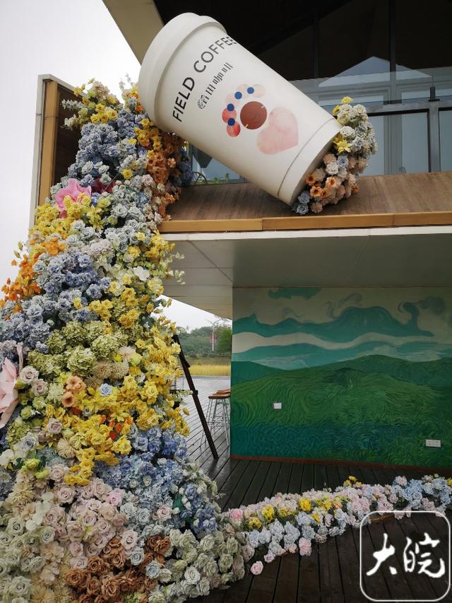 “晚了就没好位子了！” 合肥晴好周末上演露营“抢位战”