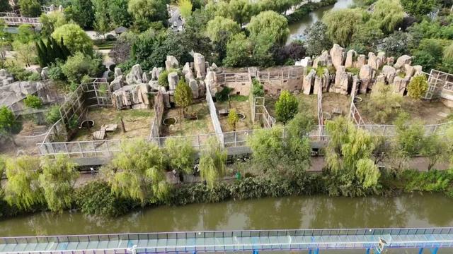 3.0时代开启！临沂动植物园焕新重塑，打造城市生态新地标