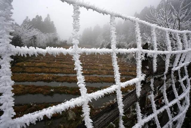 多图直击融水雾凇美景