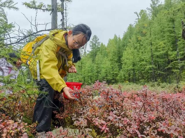 偃松小镇的告别礼！呼源镇为杭州研学少年送定制书包，研学时光里藏满山野乐趣
