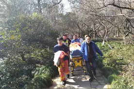 男子西湖边赏梅时突然晕倒，疑似低血糖和花粉过敏图片