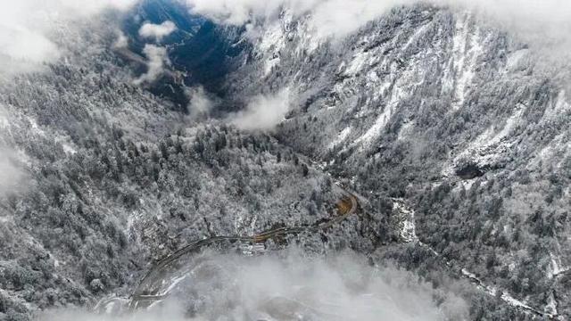 今年第一条雪景，送给海螺沟！