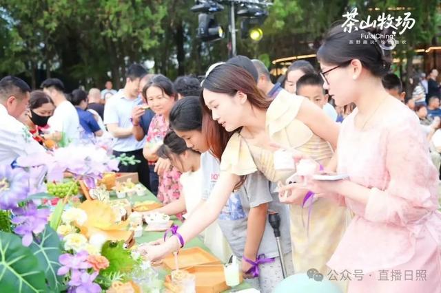 茶山牧场正式投入运营！日照又新增一打卡地