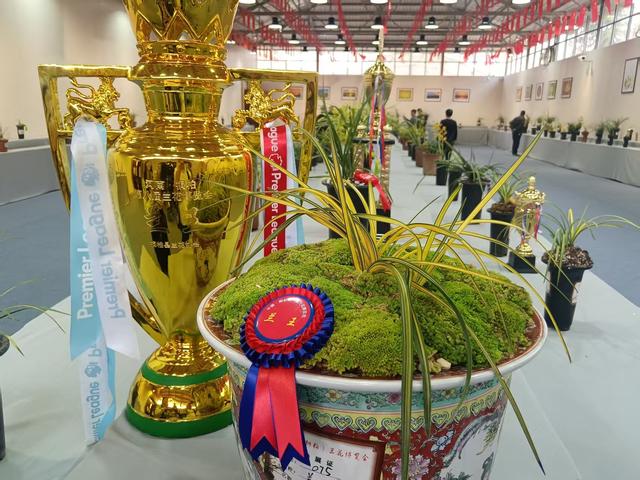 兰香小镇印象记