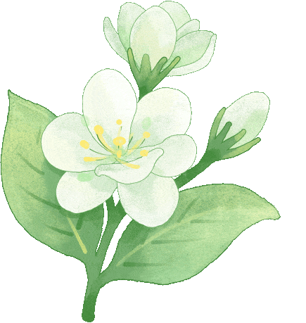 中医药融入健康旅游，广元市这些中医药健康旅游精品路线等你来（昭化篇）