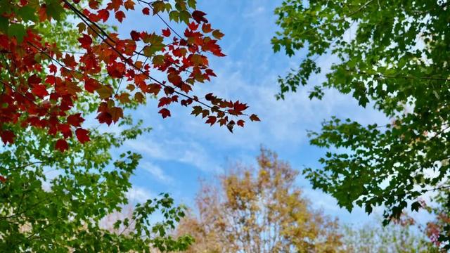 300亩！免费参观