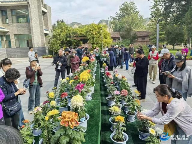 兰州植物园7000余盆菊花绘就秋日画卷