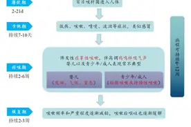 “咳得肋骨疼！” 今年已致13死！专家提醒→图片