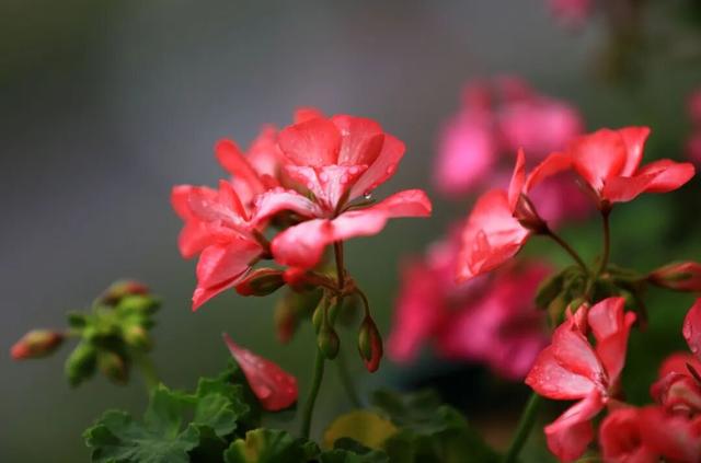 秋天的陇南，有什么好看的？