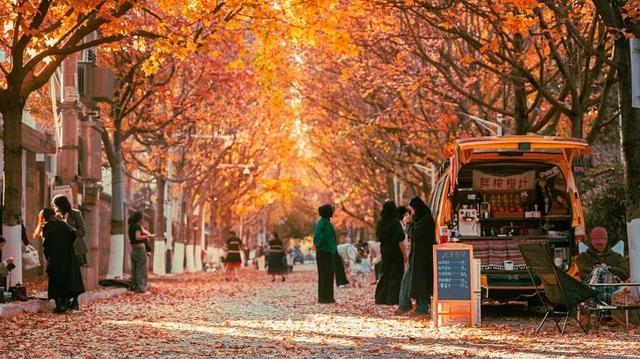 砚山枫叶街：“落叶缓扫”绘就冬日童话 网红街区引八方游客打卡
