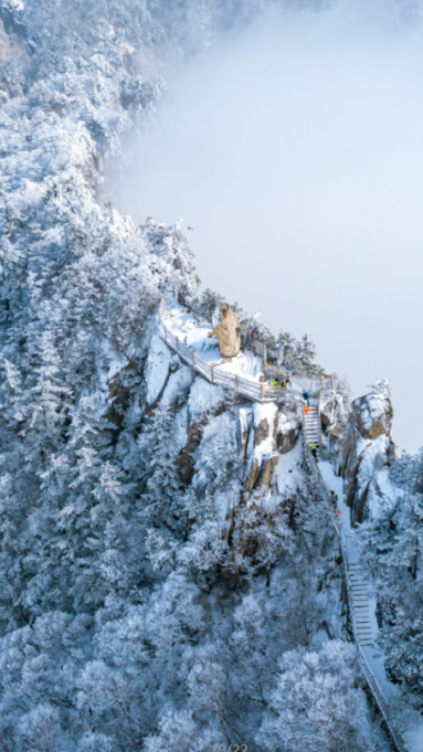 绝绝子！除了绝绝子，我还能怎么夸洛阳