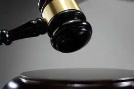 从公司账户给自己转账600万打赏网络主播，上海一“95后”出纳员被判刑图片