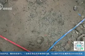 楼上居民怒斥一楼住户私挖地下室，楼栋存安全隐患谁担责？视频封面