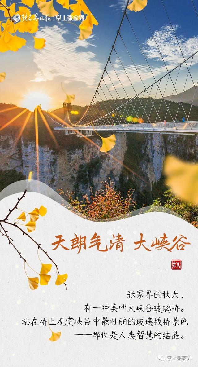 周末去哪玩丨跟着湘超株洲队，领略张家界的秋韵