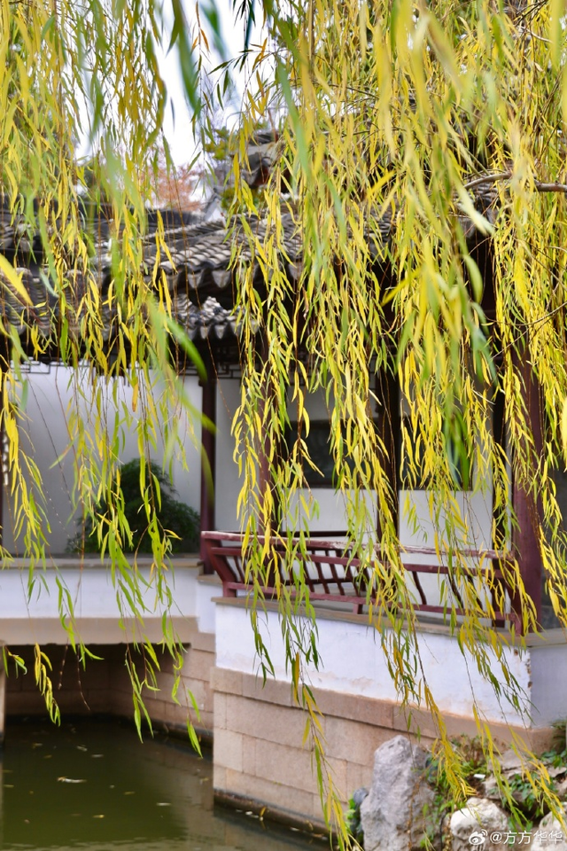 这个元旦假期，把时光“浪费”在秦淮最美的园子里~