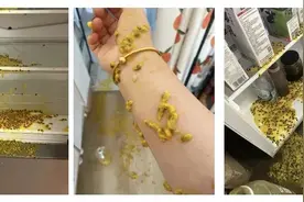 危险！危险！危险！这4种东西放冰箱，可能会“爆”！图片