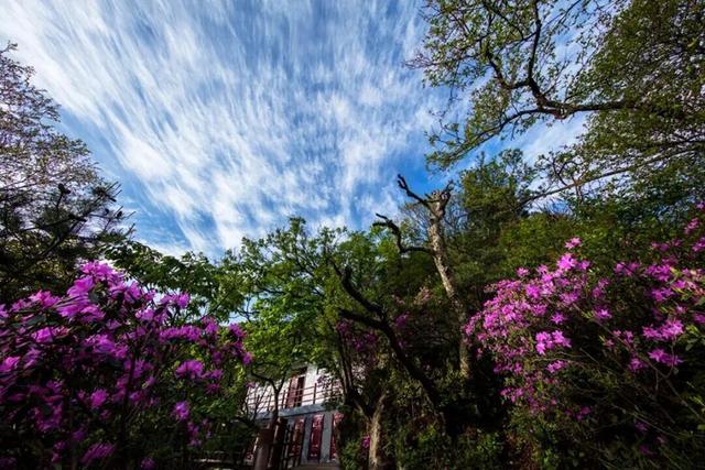 洛阳这些地方值得反复去，反复反复去... ...