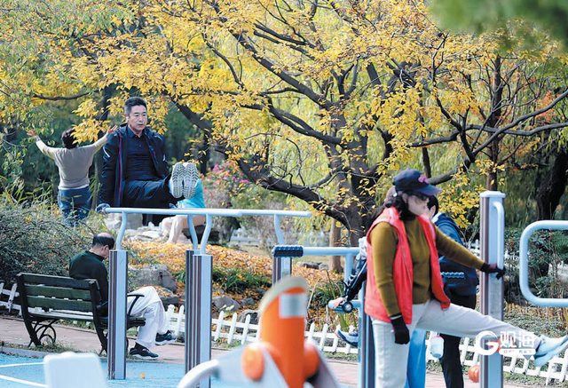 青岛“公园+体育”：人景相融“动”起来