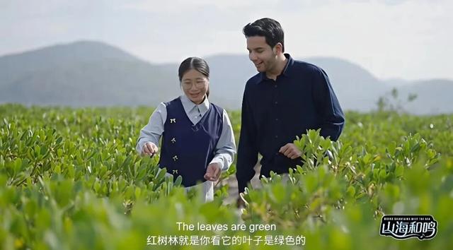 多位外籍网红博主“打卡”阳江