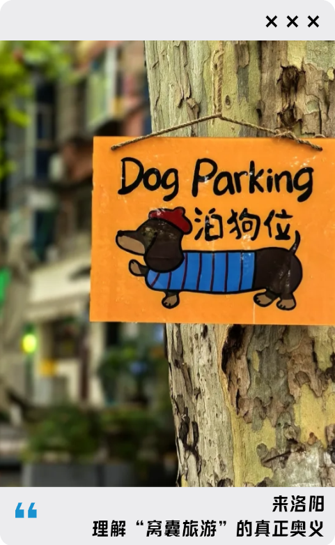 建议，所有懒人都来趟洛阳...