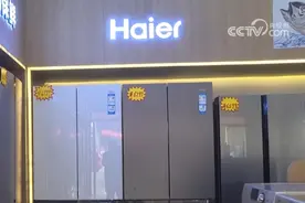 “两新”“国补”下乡进村 创新服务激活农村市场消费活力图片