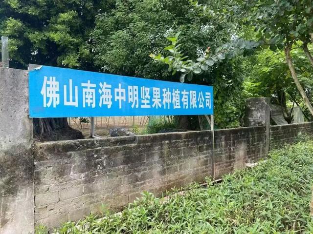 乐趣爆棚！解锁佛山两条宝藏亲子Citywalk路线！