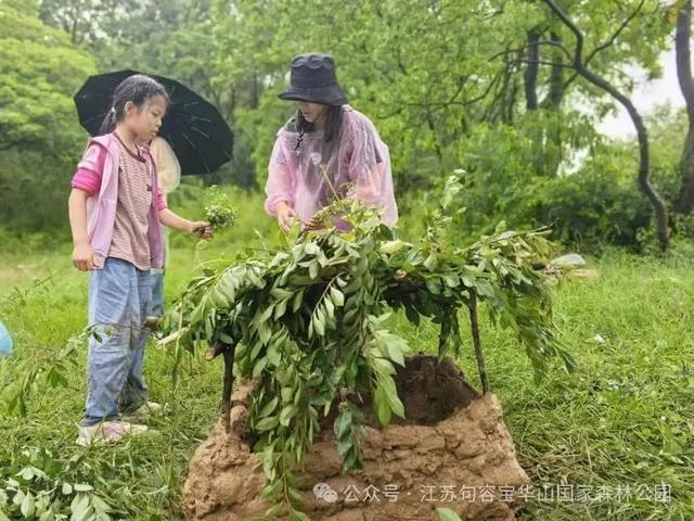 宝华山科普研学招募！速报名