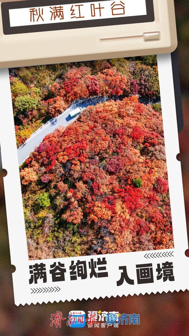 海报合集│济南红叶谷剪映深秋最美时光