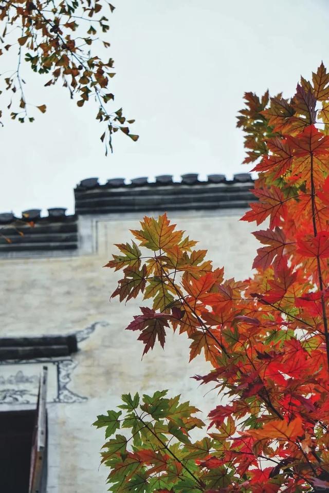 如画江西的冬日惊喜，是什么样子的？