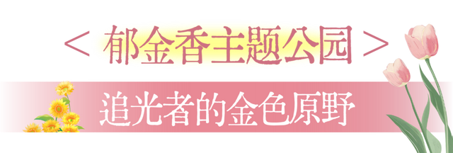 国庆花事指南：赴一场与向日葵、月季和粉黛的秋日花约