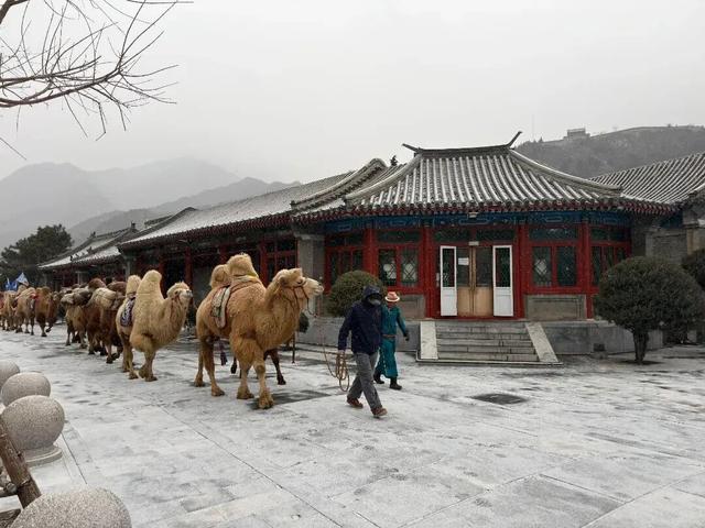 雪景美图来了！京郊赏雪宝藏线路，解锁冬日限时浪漫