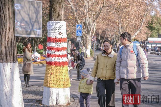 绘彩画、穿毛衣，东湖绿道大树披“彩妆”喜迎新年