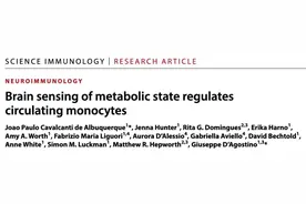 长寿与否，身体先知！这种“感觉”越强烈的人，衰老慢、免疫强、更长寿！图片