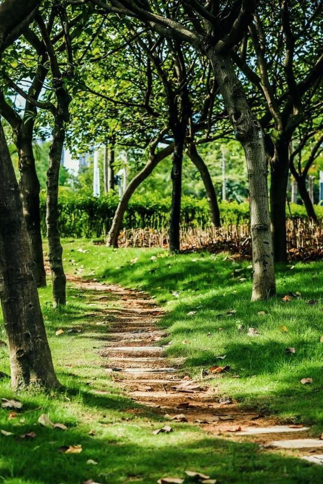 山的那边真的是海吗？为了探求真相，我决定周末就出发……