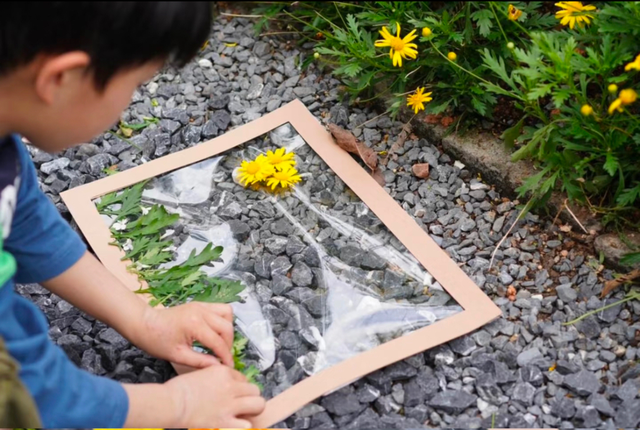 周末就来青白江！又研学又度假，安排！