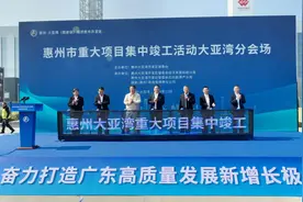 总投资552.9亿元！惠州大亚湾20宗项目集中竣工图片