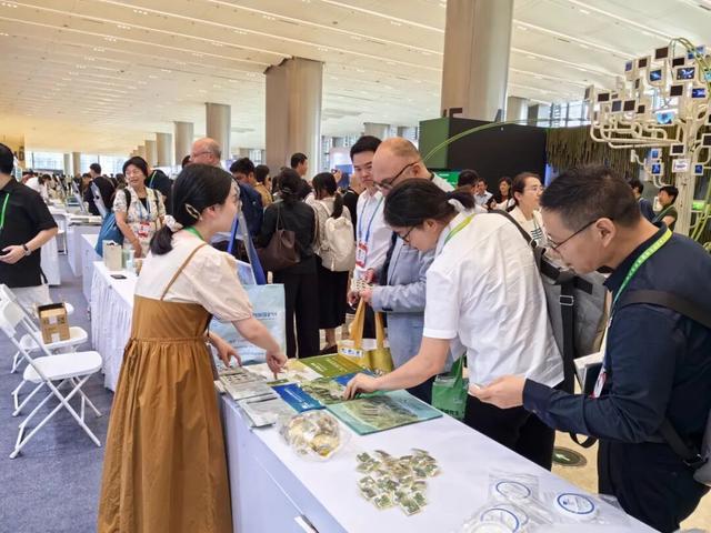 黄山闪耀世界生物圈保护区大会！